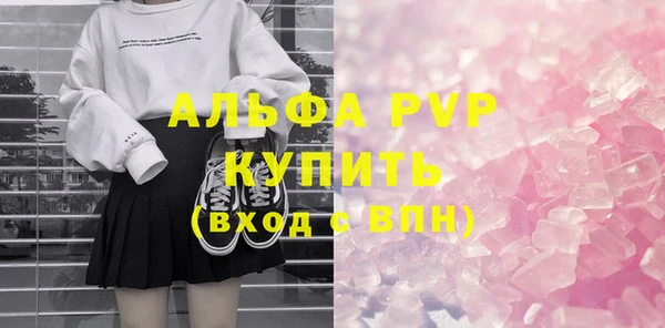 амф Бородино