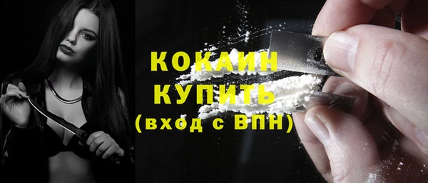 хмурый Верея
