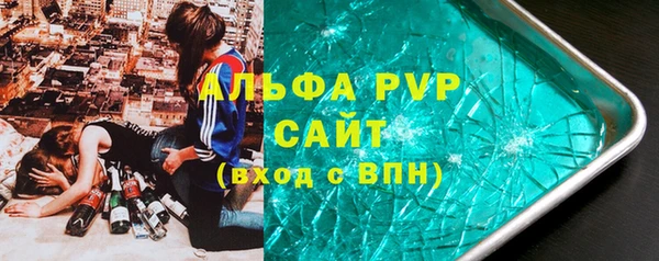 амф Бородино