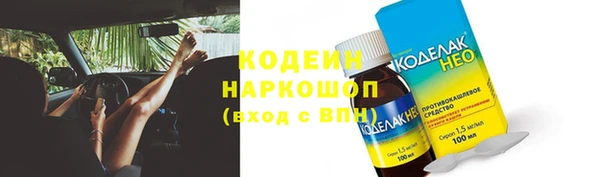 шишки Верхний Тагил