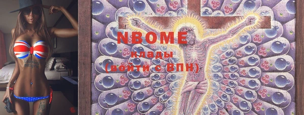 амф Бородино