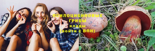 амф Бородино