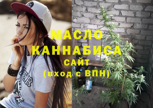 амф Бородино