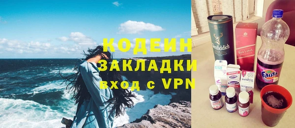 шишки Верхний Тагил