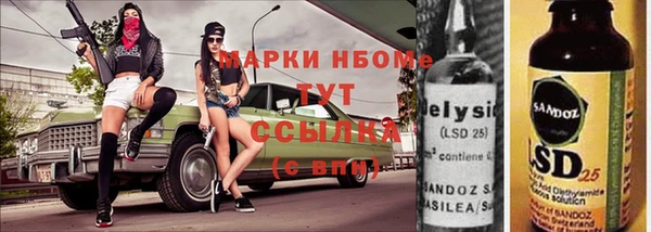 амф Бородино