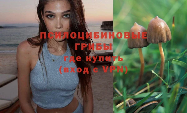 хмурый Верея