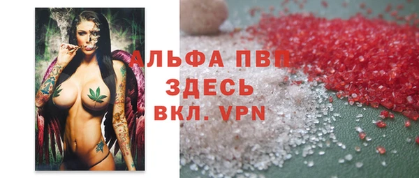амф Бородино