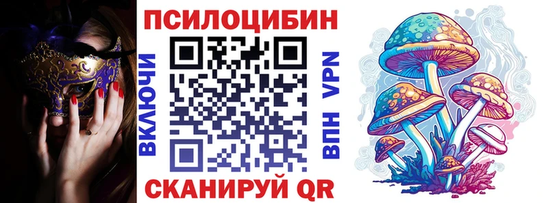 Псилоцибиновые грибы Cubensis  Тверь 